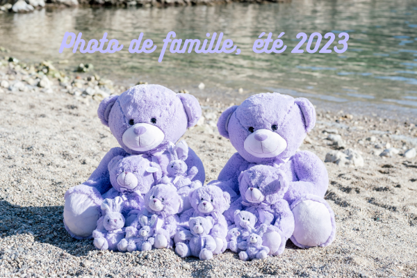 famille ours